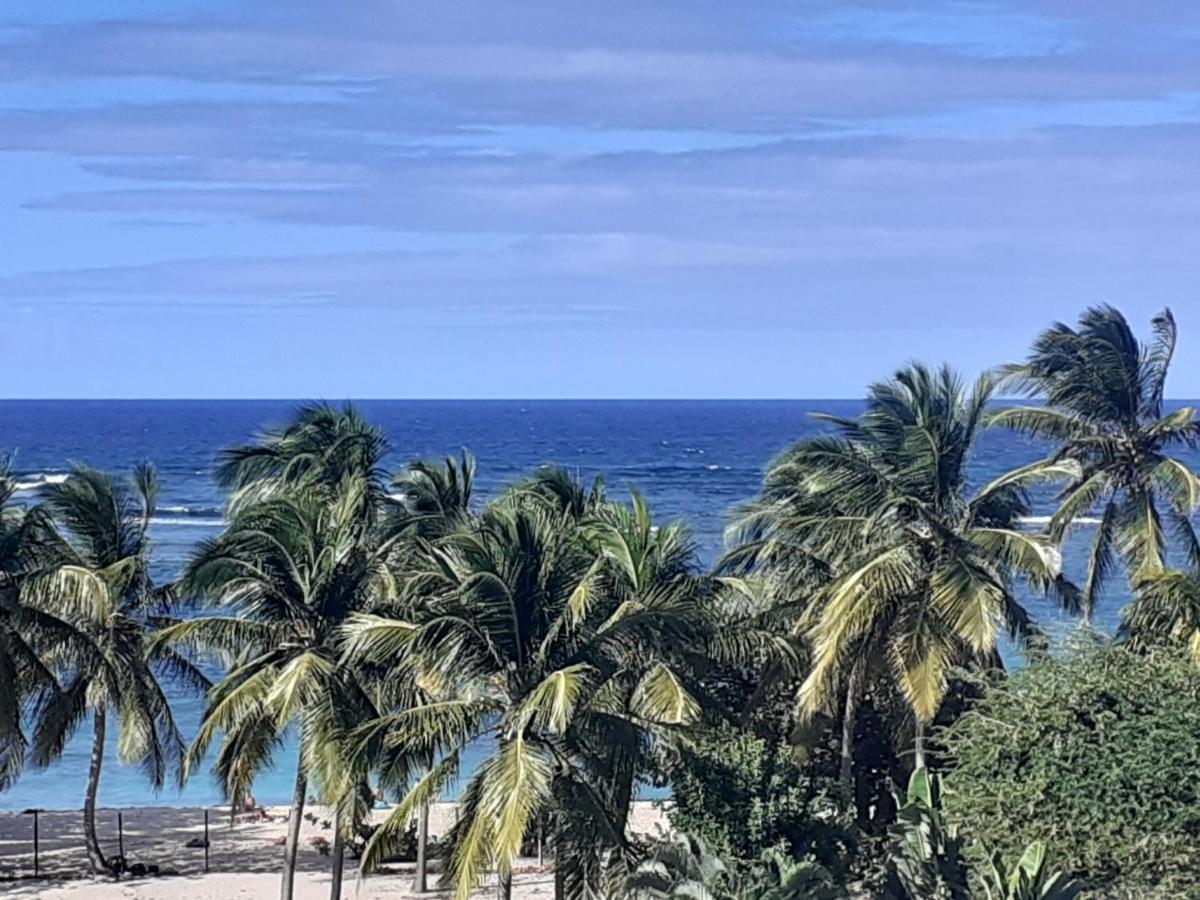 Studio Vue Sur Mer Le Moule Ngoại thất bức ảnh
